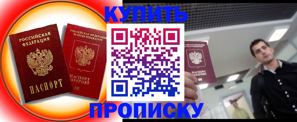 временная прописка в Коле